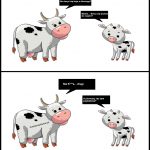Rozmowa krów