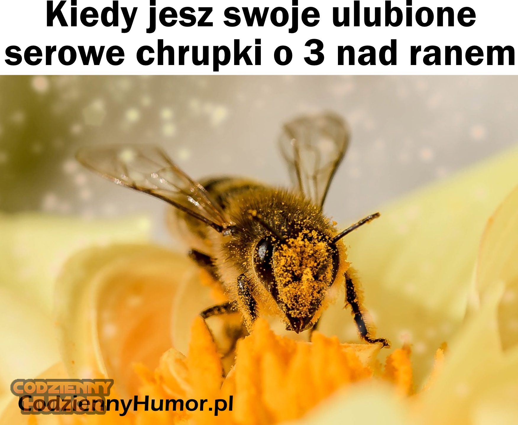 Kiedy jesz swoje ulubione chrupki