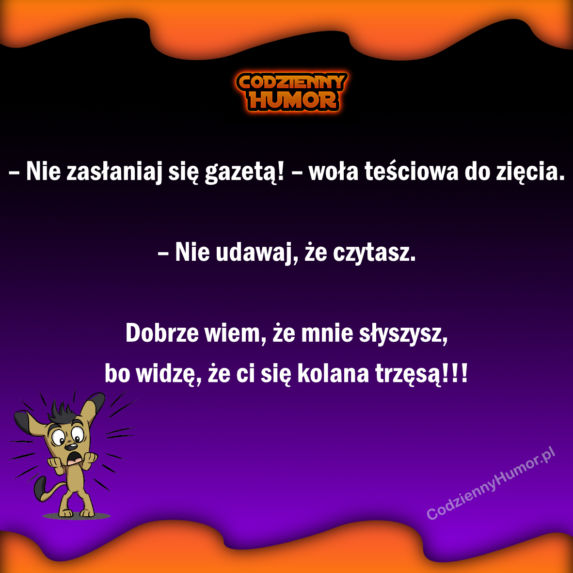 Teściowa woła do zięcia