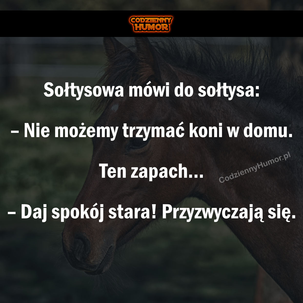 Sołtysowa mówi do sołtysa