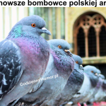Memy z gołębiem - Nowe bombowce