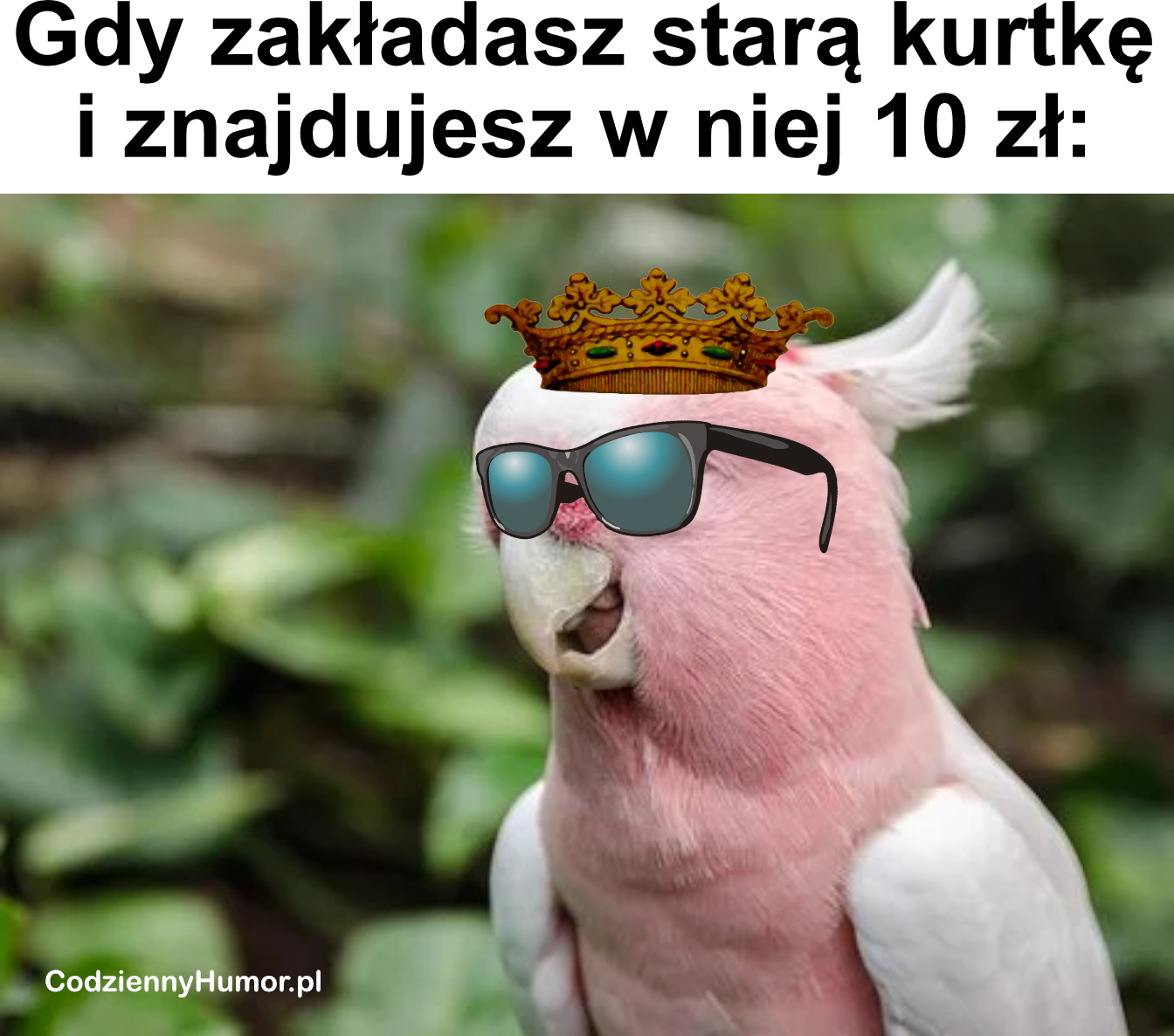 Gdy znajdziesz dyche w kurtce