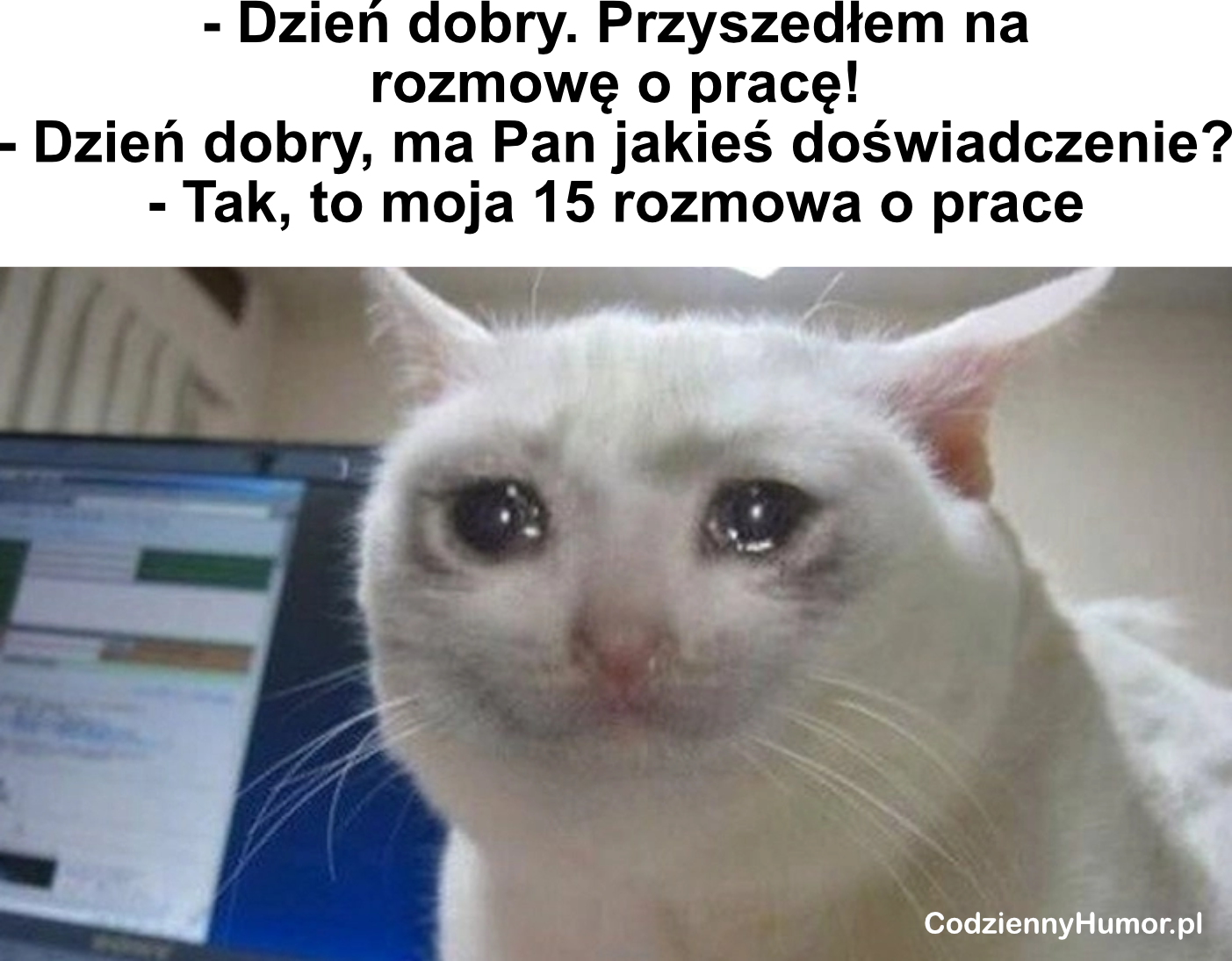 Rozmowa o pracę