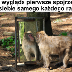 Poranki są ciężkie