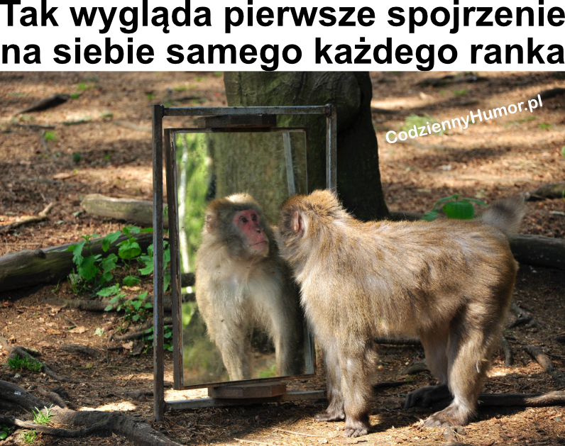 Poranki są ciężkie