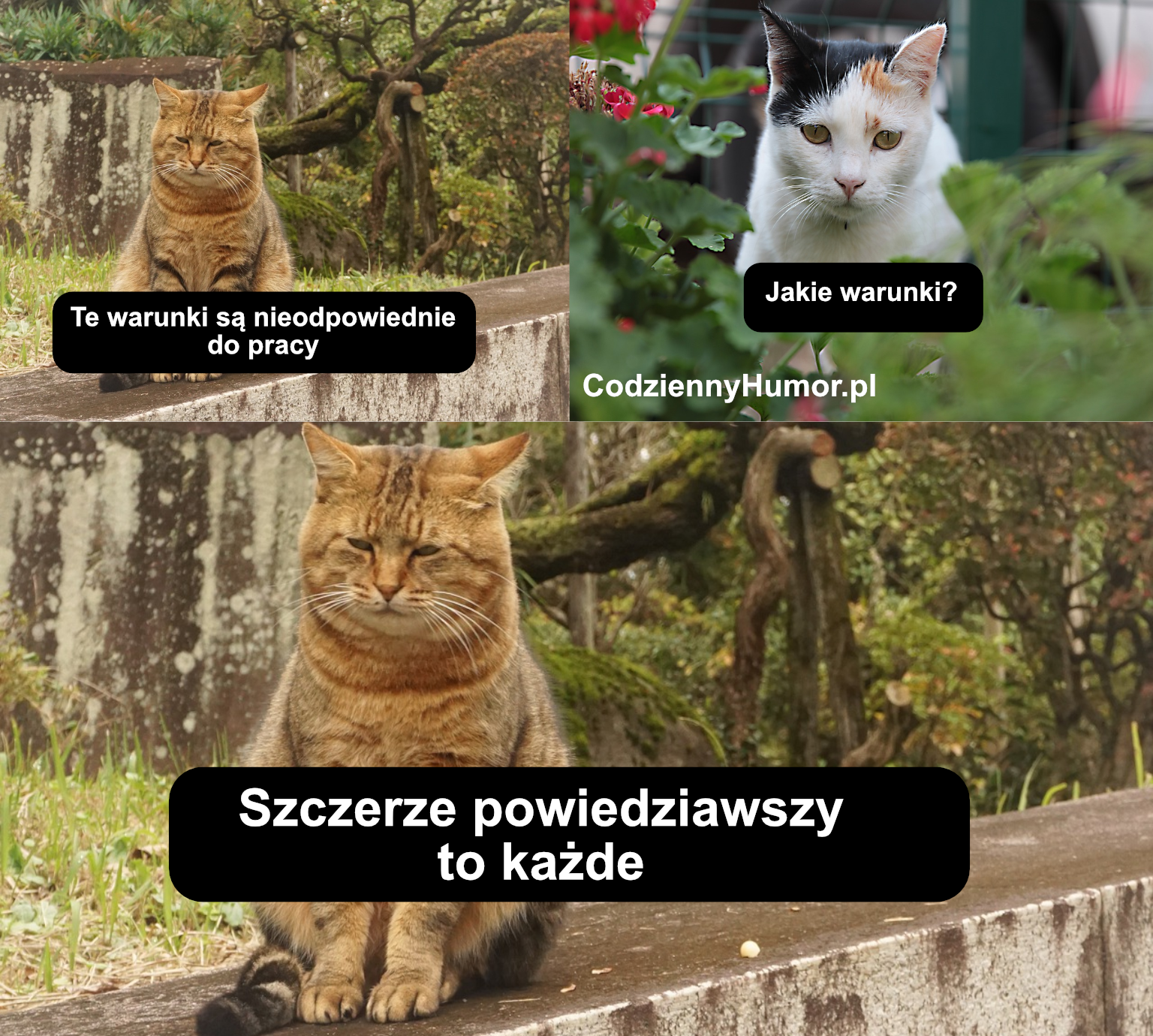 Warunki w pracy