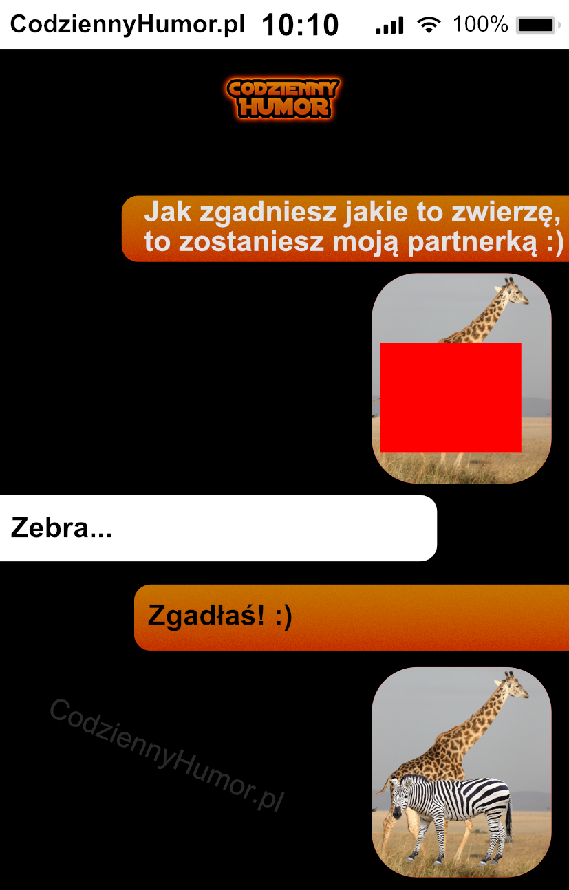 Śmieszne smsy - zgadnij jakie to zwierze