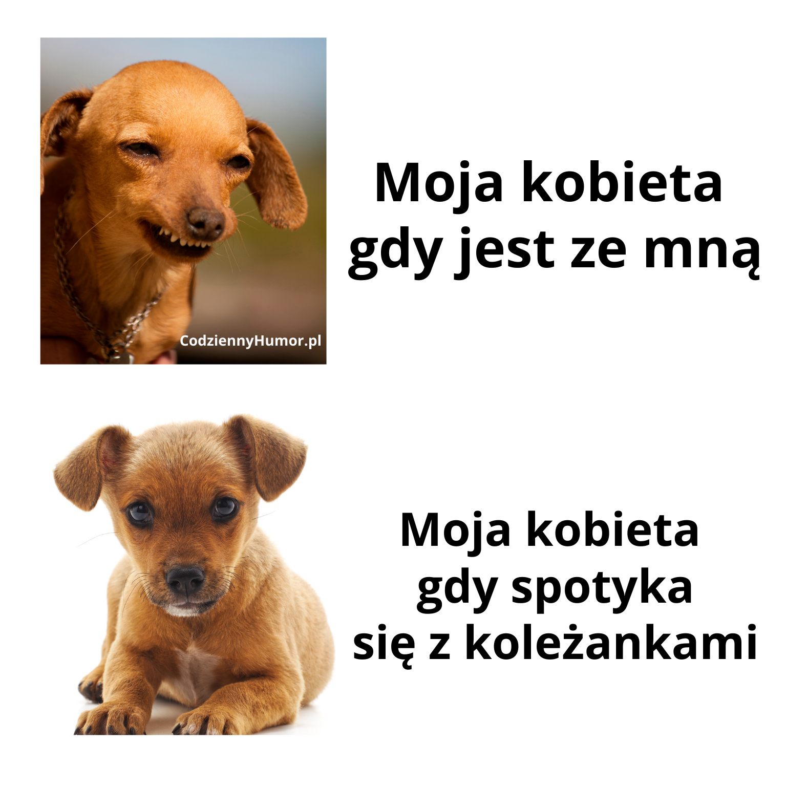 Kobieta przy koleżankach vs przy facecie