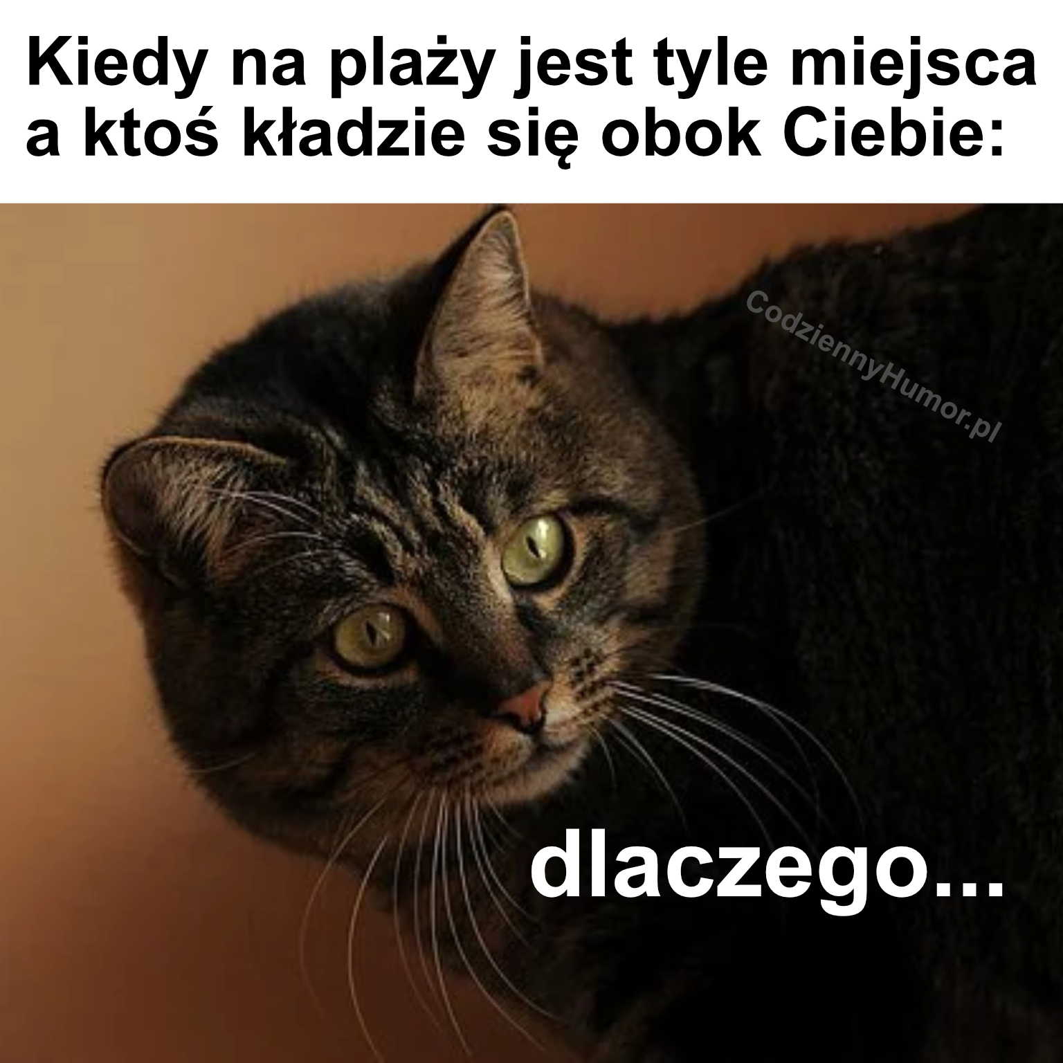 Najgorsze uczucie.. Pełne plaże