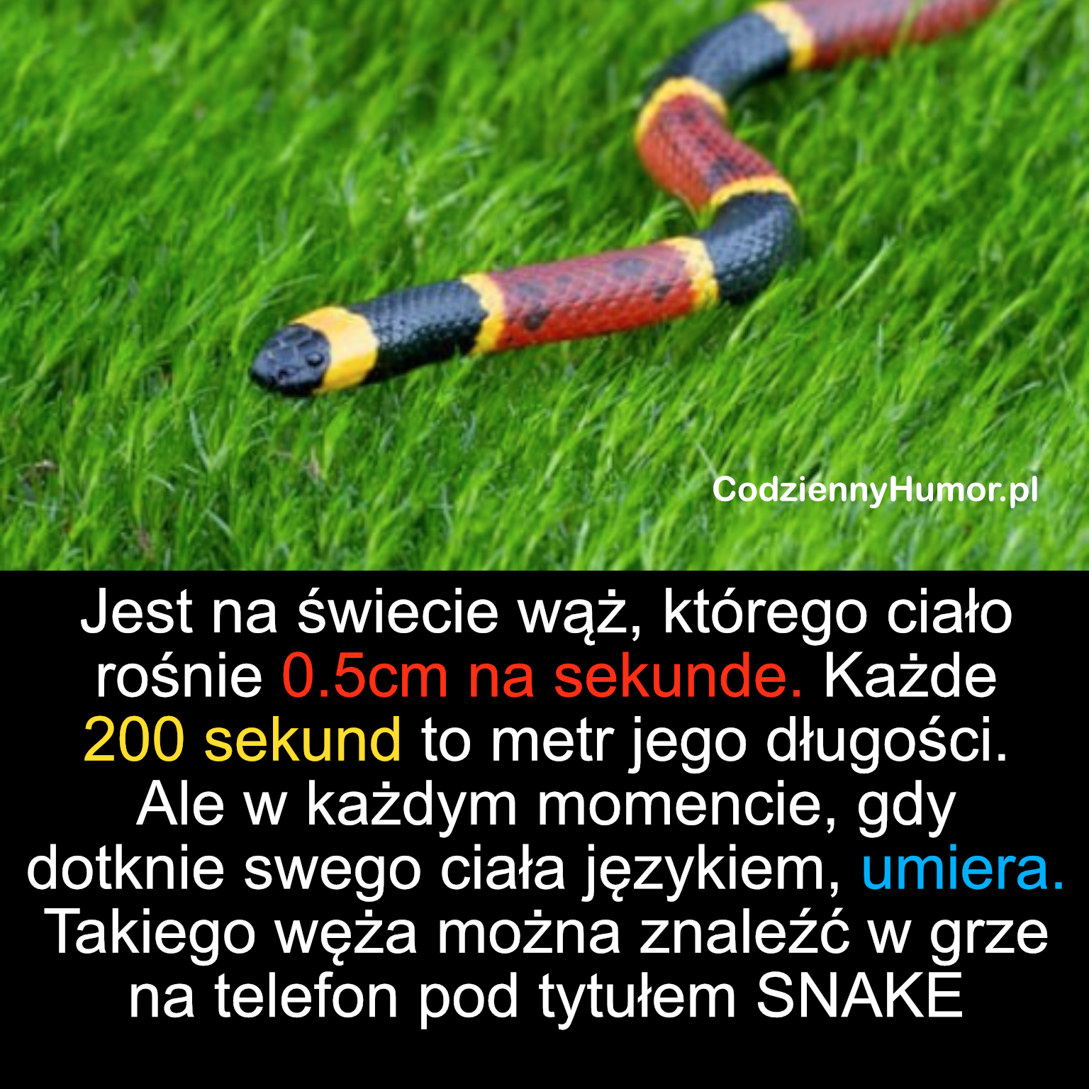 Największy wąż na świecie