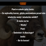 Pani w szkole pyta jasia - kawały o jasiu