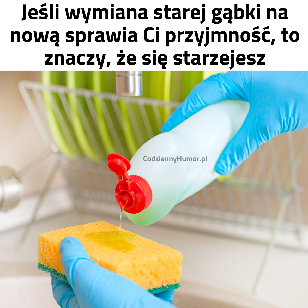 Stara i nowa gąbka memy