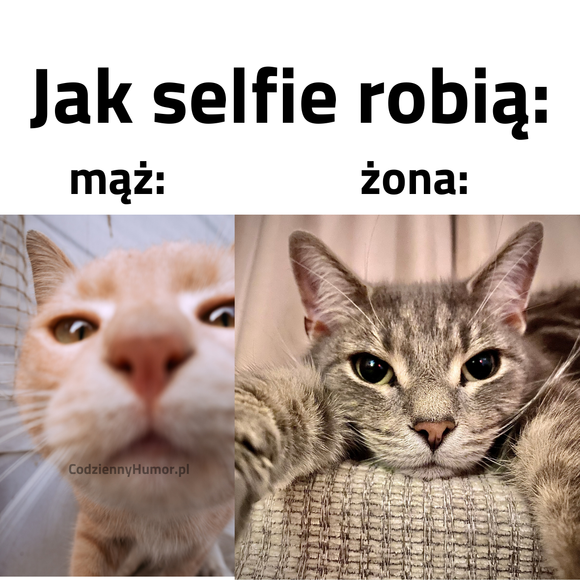 Jak robią selfie boomerzy