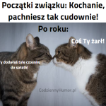 Początek związku vs po roku