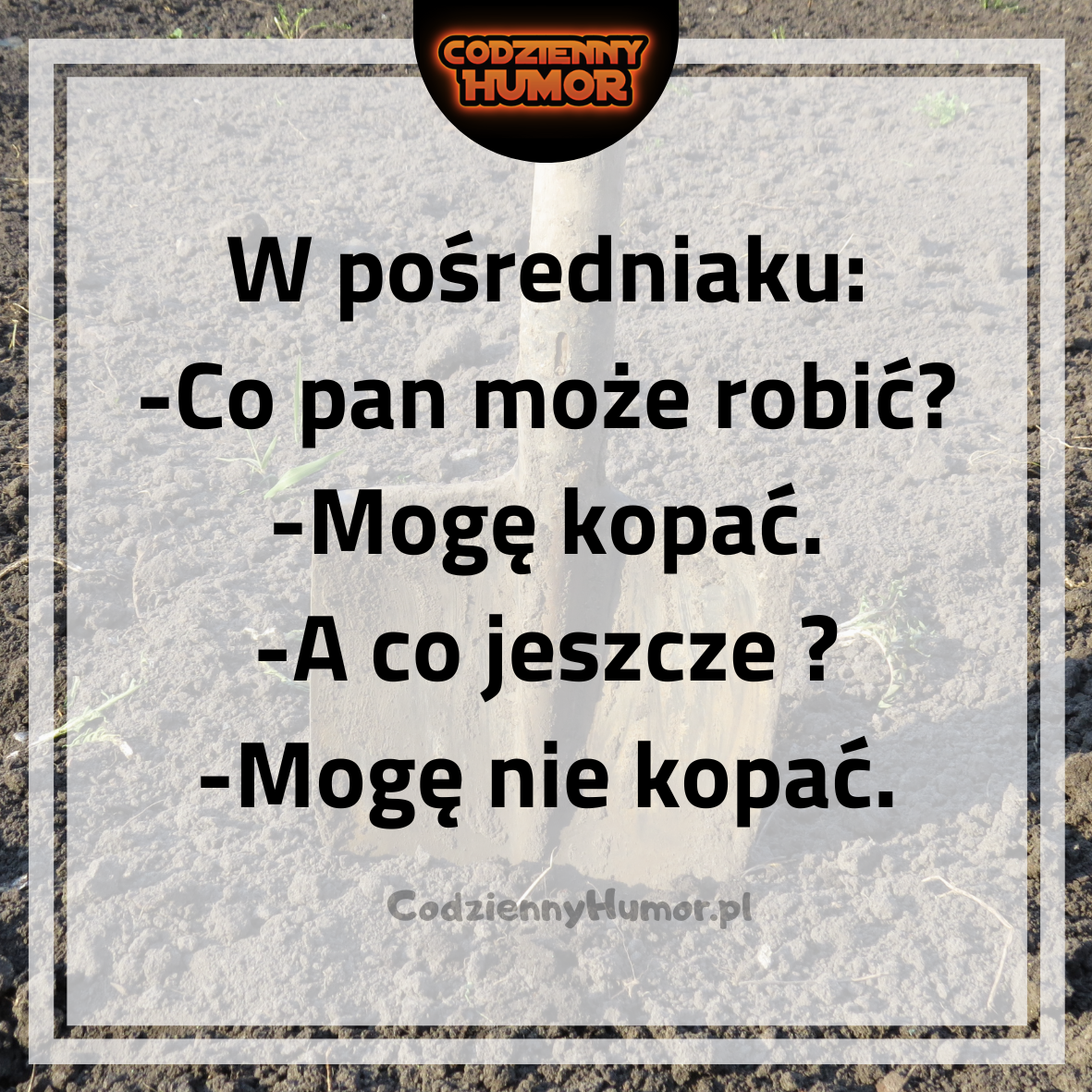 Wizyta w pośredniaku