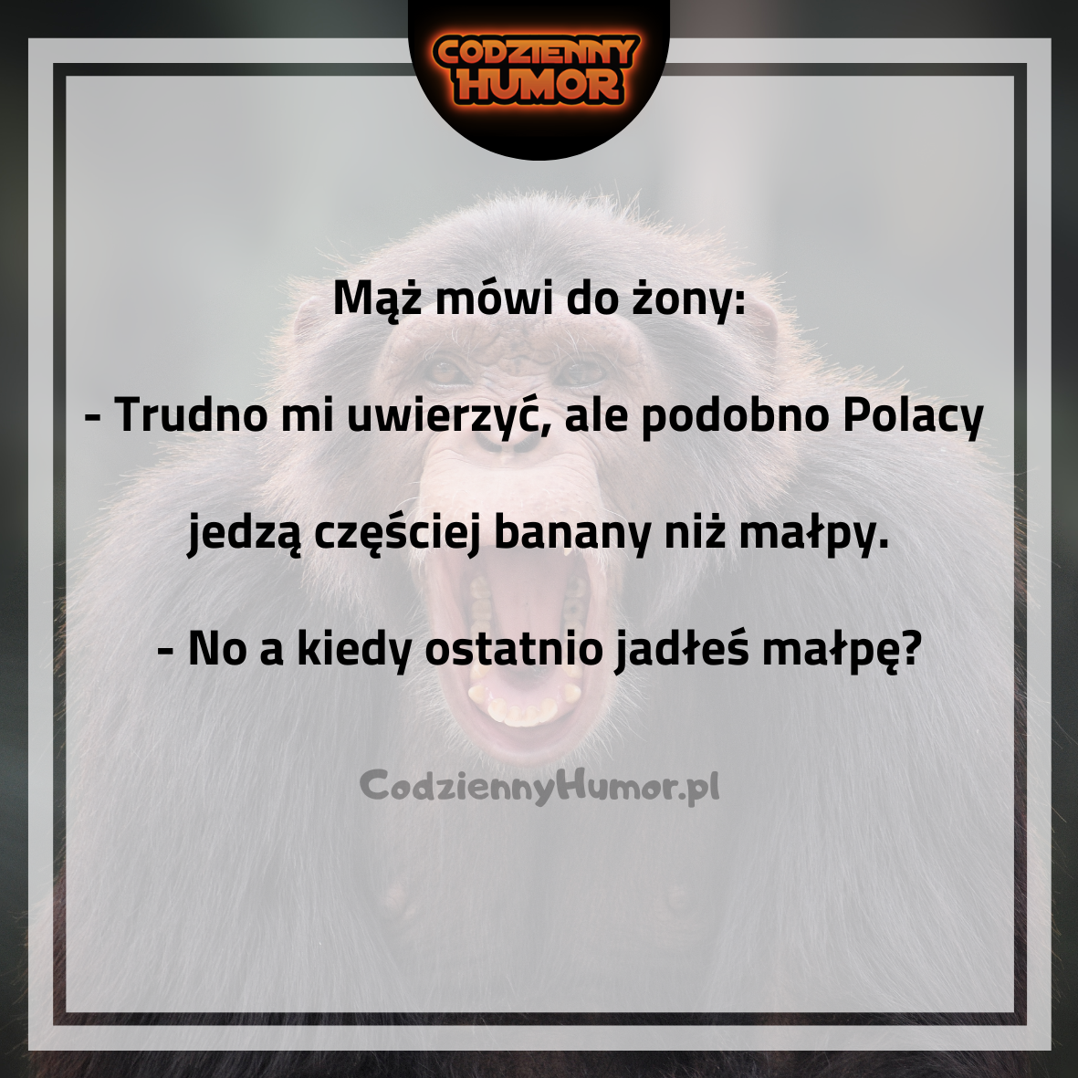 Polacy częściej banany niż małpy