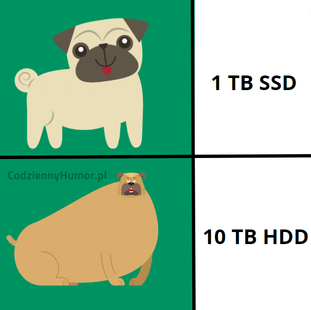 1 TB SSD vs 10 TB HDD