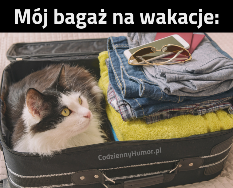 Najważniejszy bagaż na wakacje