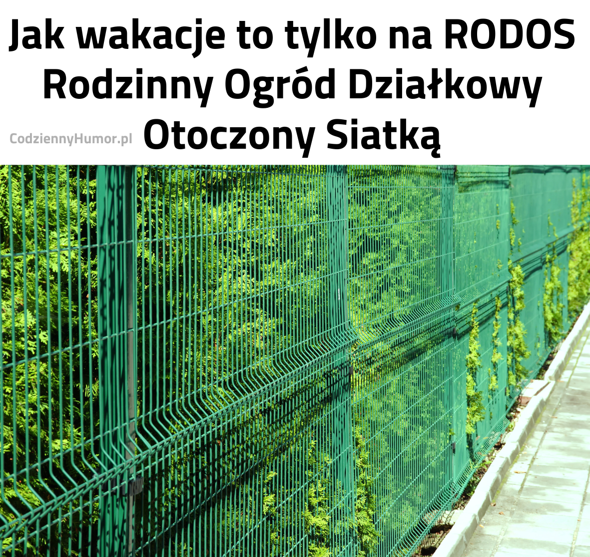 Wakacje na RODOS - Rodzinny Ogród Działkowy