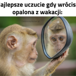 Gdy wracasz opalona z wakacji