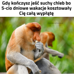 Najdroższe wakacje w Polsce