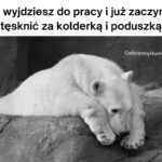 Tęskno za ciepłym łóżeczkiem