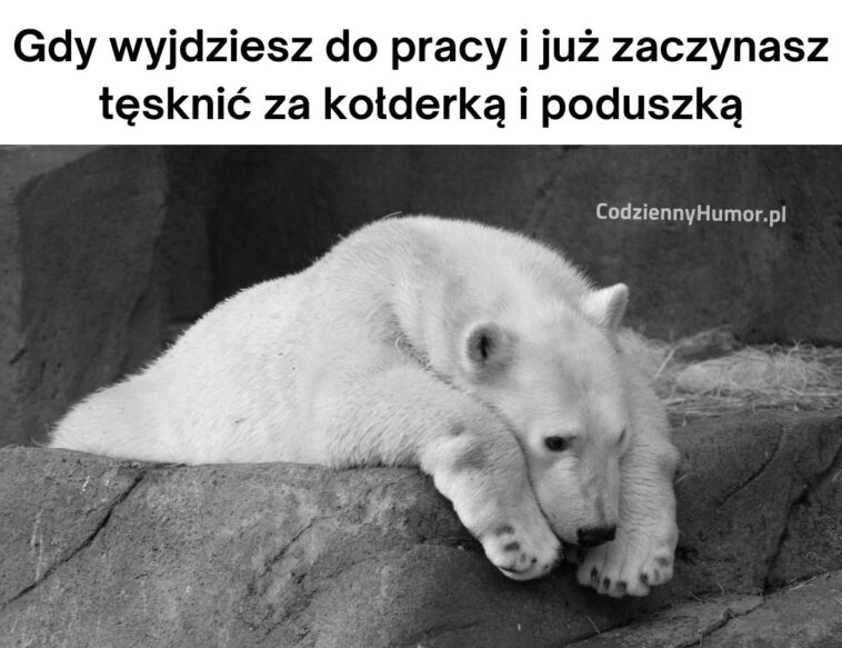 Tęskno za ciepłym łóżeczkiem