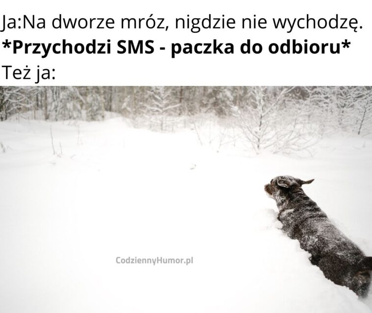 Gdy przychodzi sms, że paczka jest do odbioru