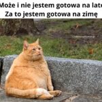 Przygotowania do świąt