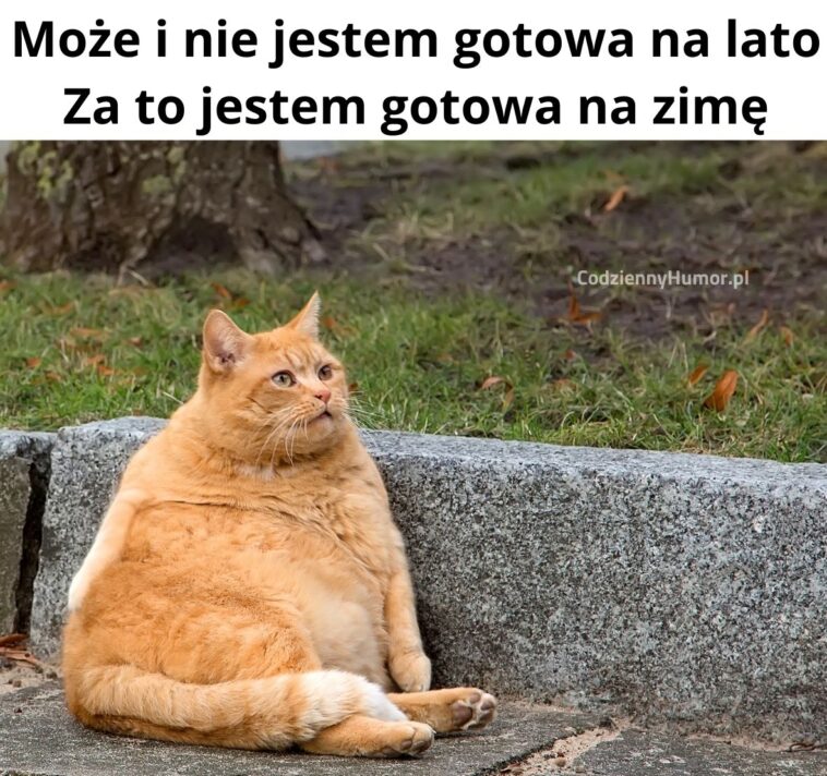 Przygotowania do świąt