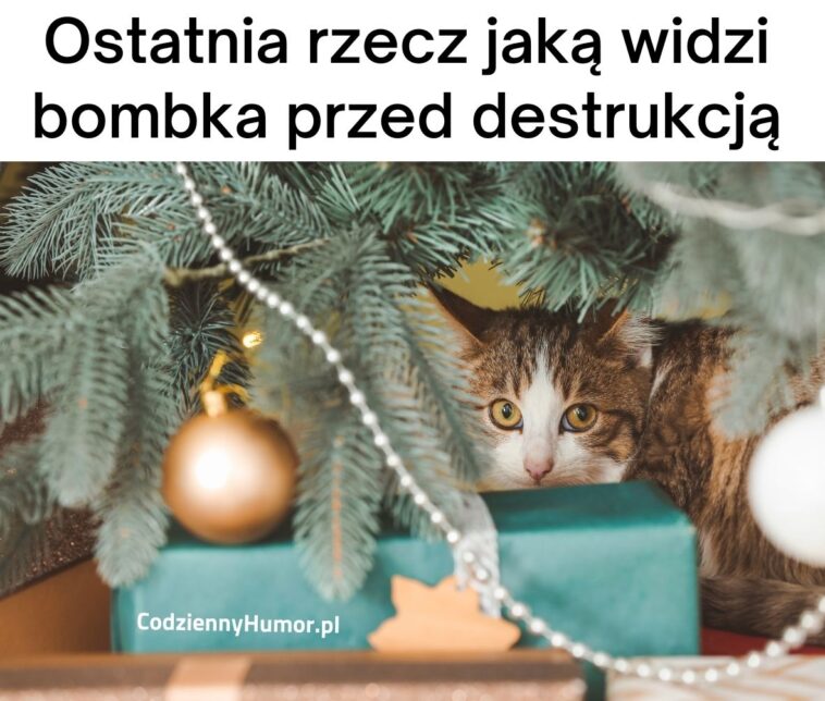 Co widzi bombka przed atakiem