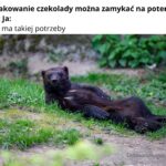 Zamykanie czekolady na później