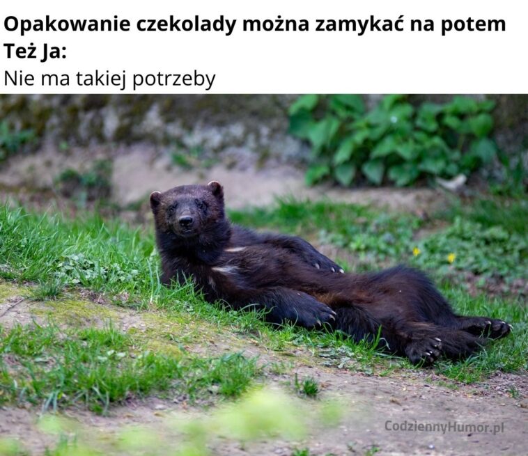 Zamykanie czekolady na później