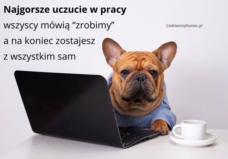 Współpraca jest ciężka