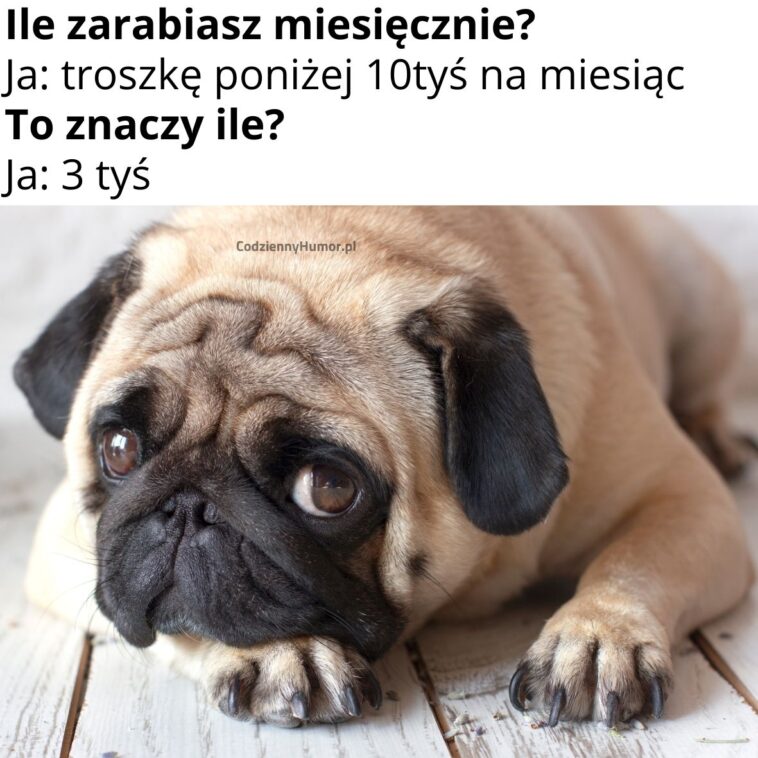 Średnie miesięczne zarobki