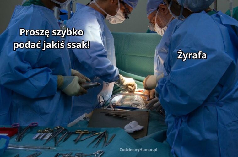 Szybko podaj jakiś ssak