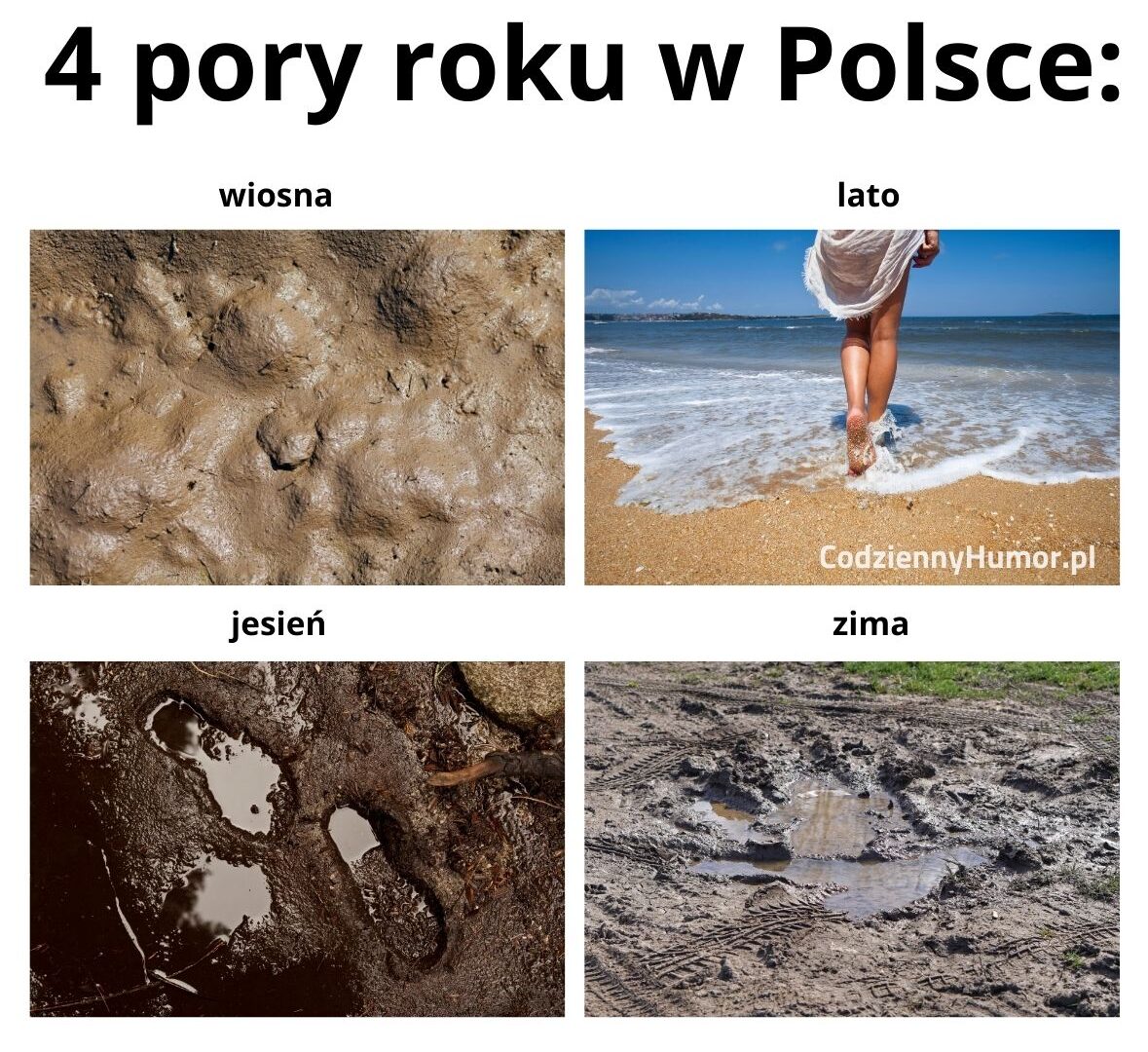 4 pory roku w Polsce