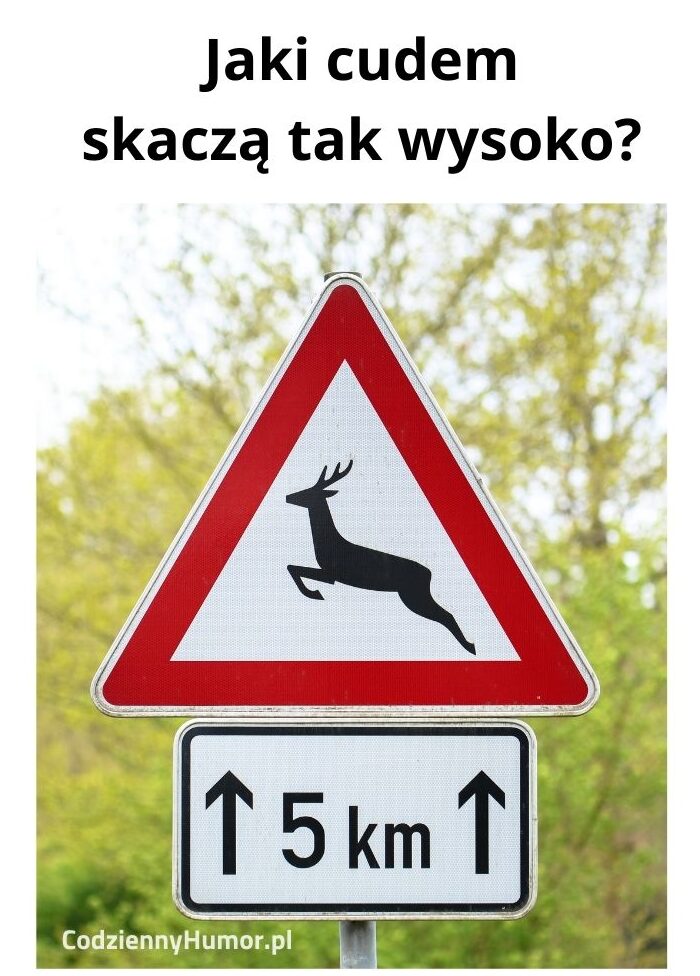 Uwaga dzikie zwierzęta