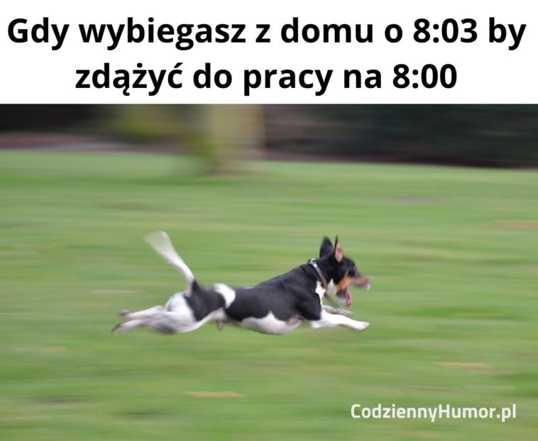 Zdążyć do pracy na 8