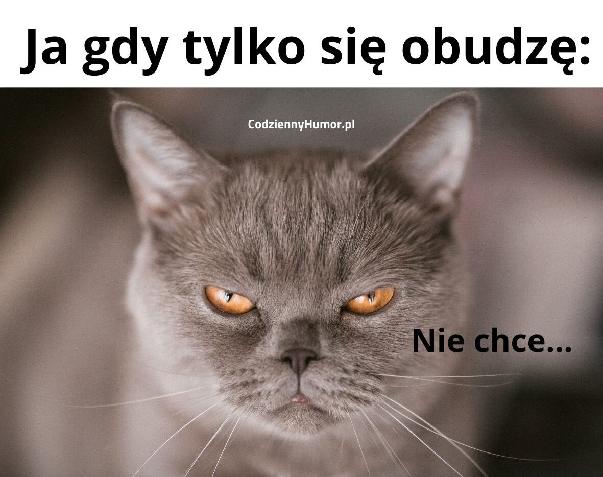 Chwilę po przebudzeniu