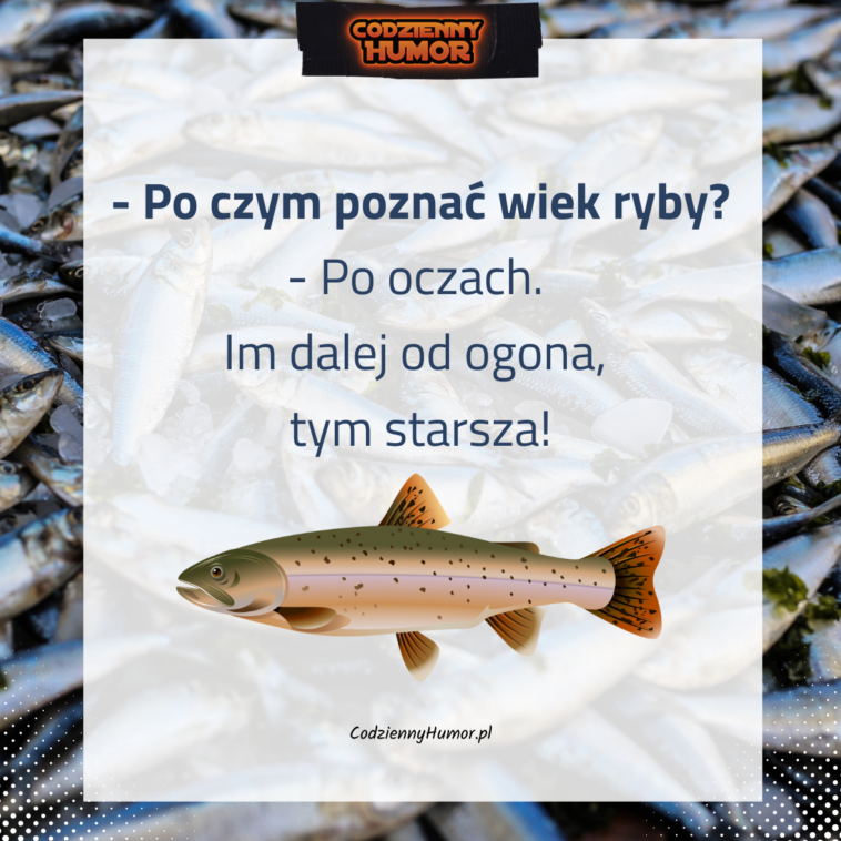 Po czym poznać wiek ryby?