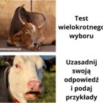 Test wielokrotnego wyboru