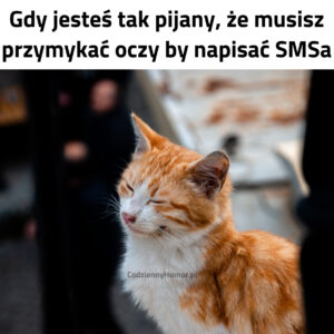 Memy na majówkę | Majówka na wesoło