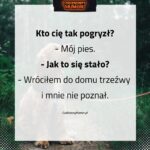 Pogryzienie przez psa