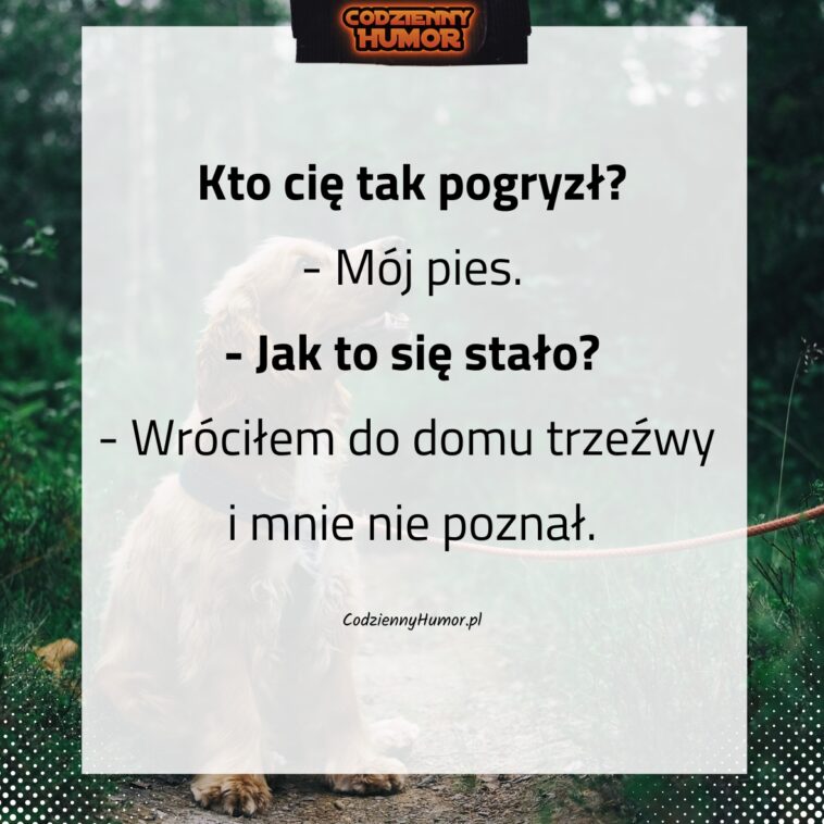 Pogryzienie przez psa