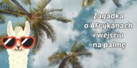 Zagadka o Afrykanach i wejściu na palmę