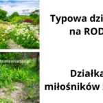 Działka na rod