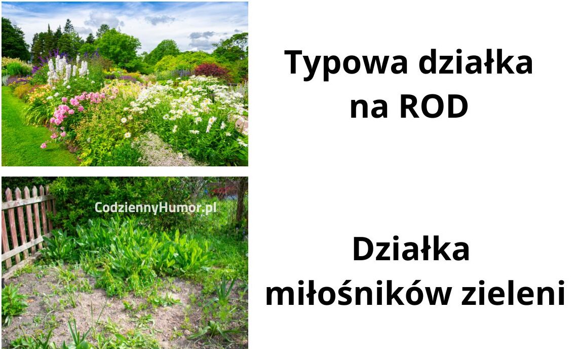 Działka na rod