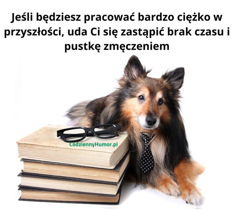 Ciężka praca popłaca!