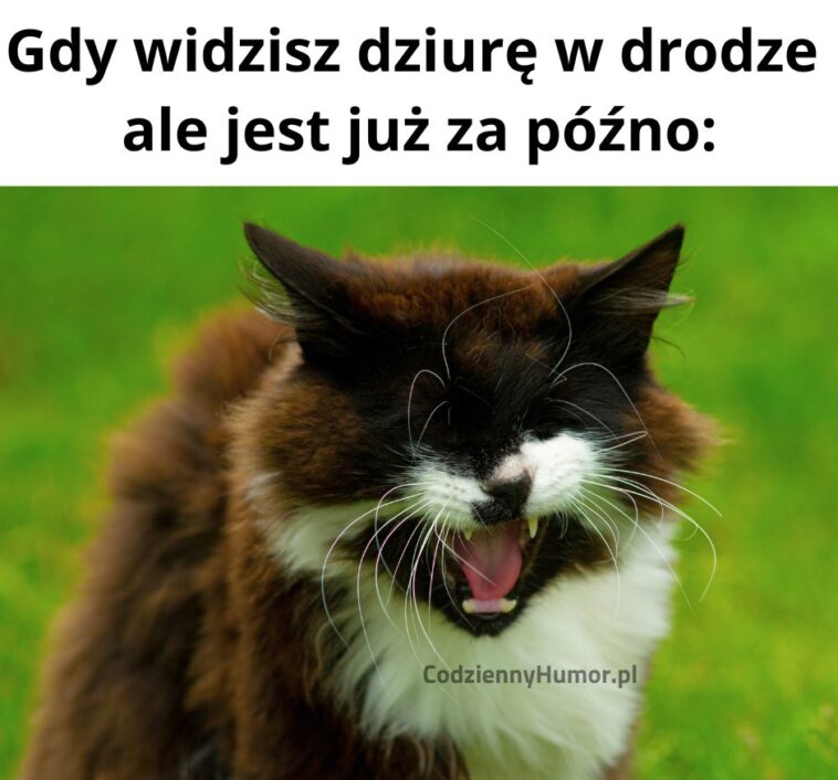 dziura w drodze